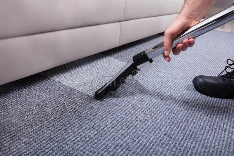 Carpet Shampooing showcase